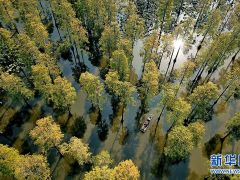 武漢新洲：漲渡湖濕地保護區掛牌生態環境司法修復基地示范點